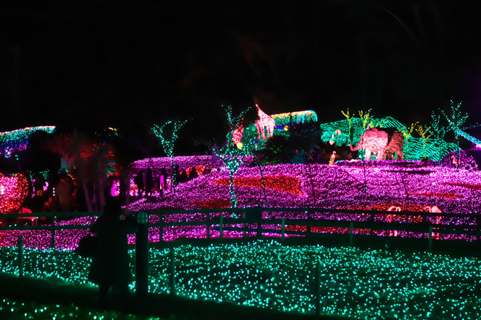 a0263109_2012553.jpg