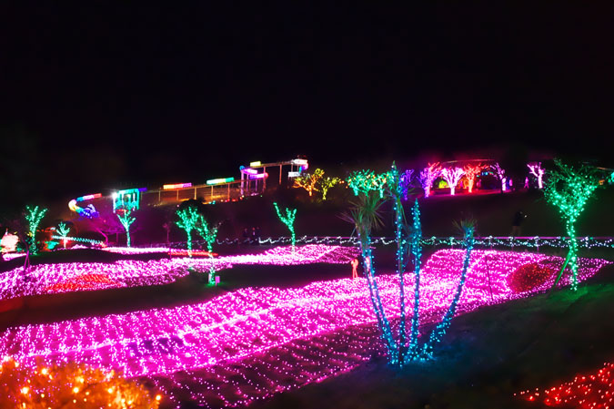a0263109_2012897.jpg