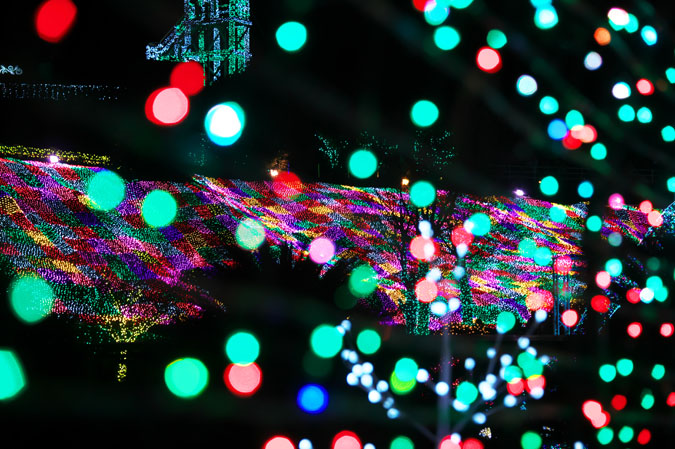 a0263109_20155510.jpg