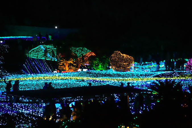 a0263109_201588.jpg