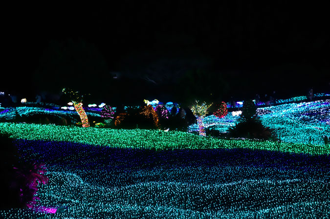 a0263109_2028948.jpg