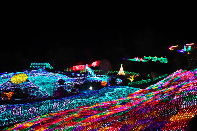 a0263109_20294427.jpg