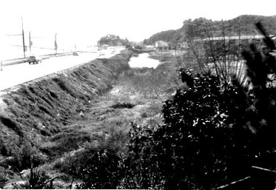 e0125014_10575568.jpg