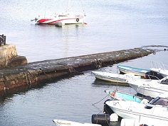 e0125014_10595784.jpg