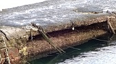 e0125014_1101159.jpg