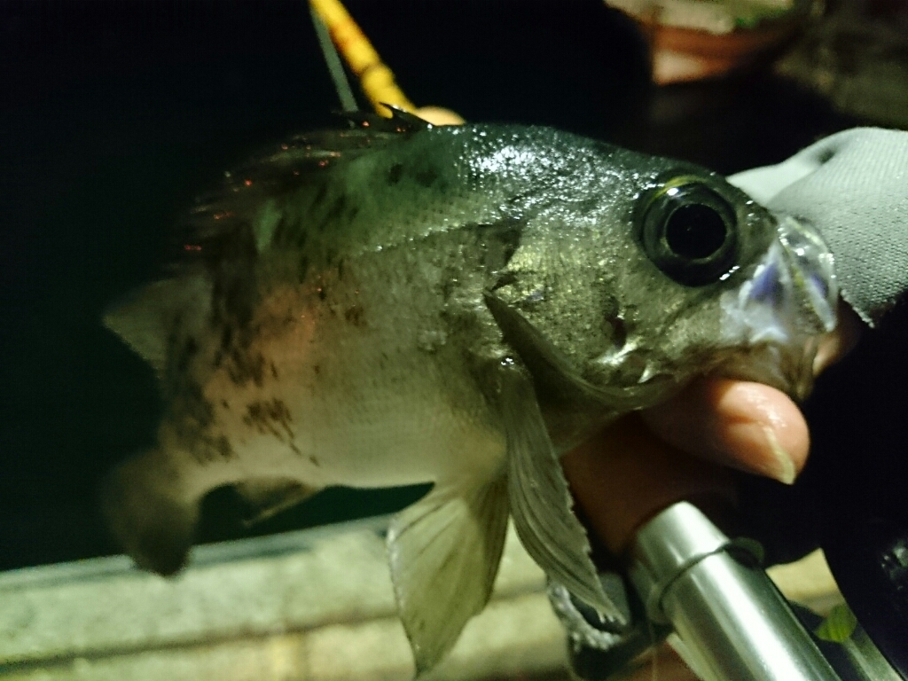 b0259124_16502349.jpg