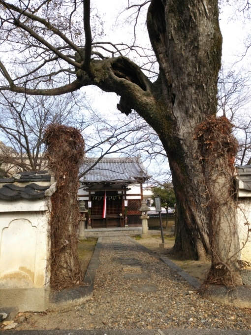 b0186130_01331323.jpg