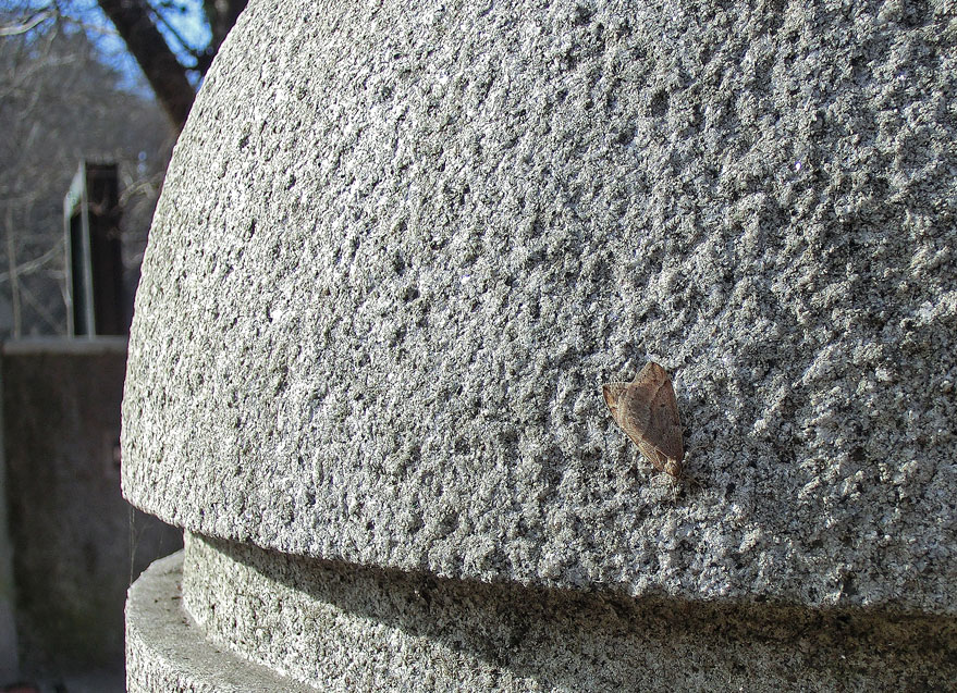 a0126632_16354513.jpg