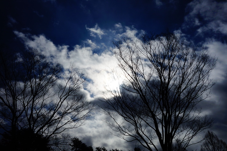 a0287336_2249078.jpg