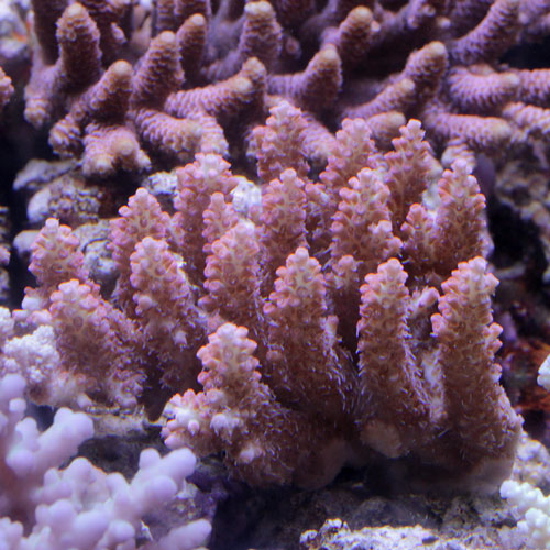 d0221436_21304023.jpg