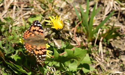 d0285540_21373754.jpg