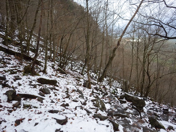 e0164643_1402148.jpg