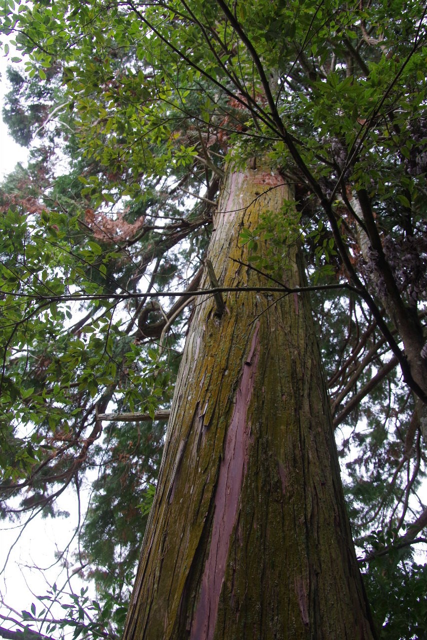 c0011649_10252251.jpg