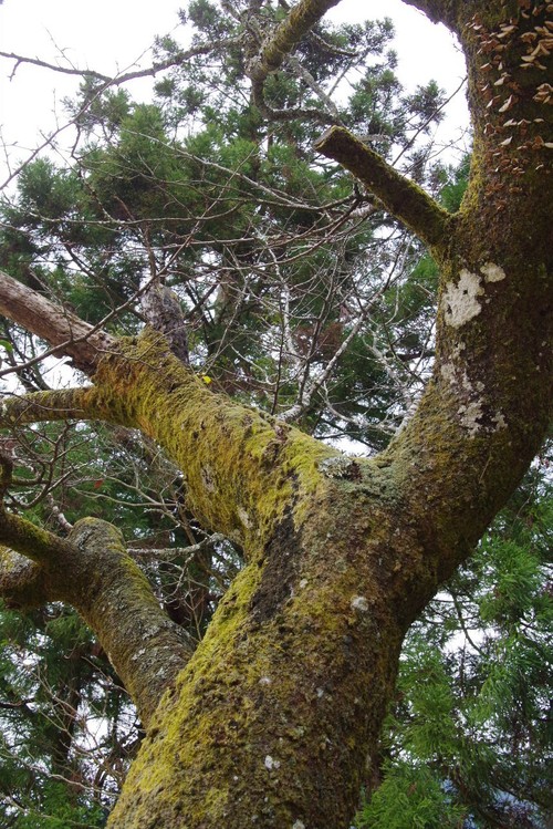 c0011649_1025494.jpg