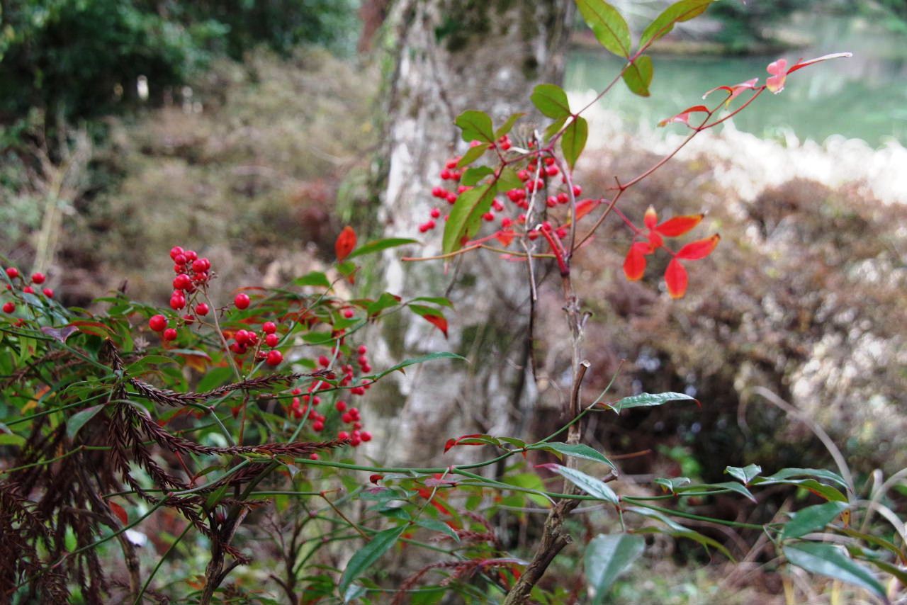 c0011649_10322723.jpg