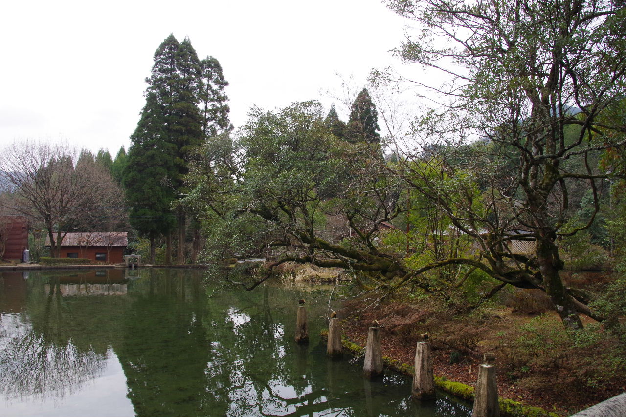 c0011649_10355317.jpg