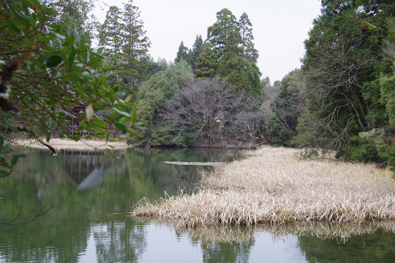 c0011649_10362512.jpg