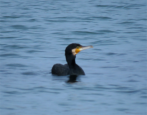f0214649_21222047.jpg