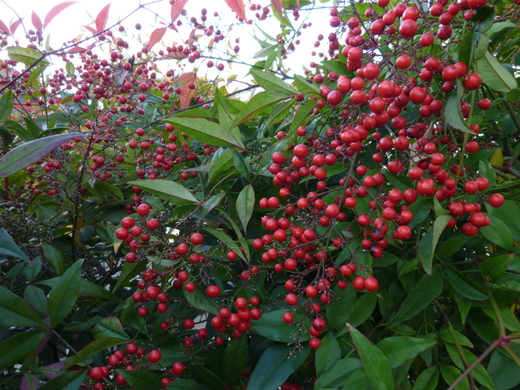 c0225153_1582468.jpg