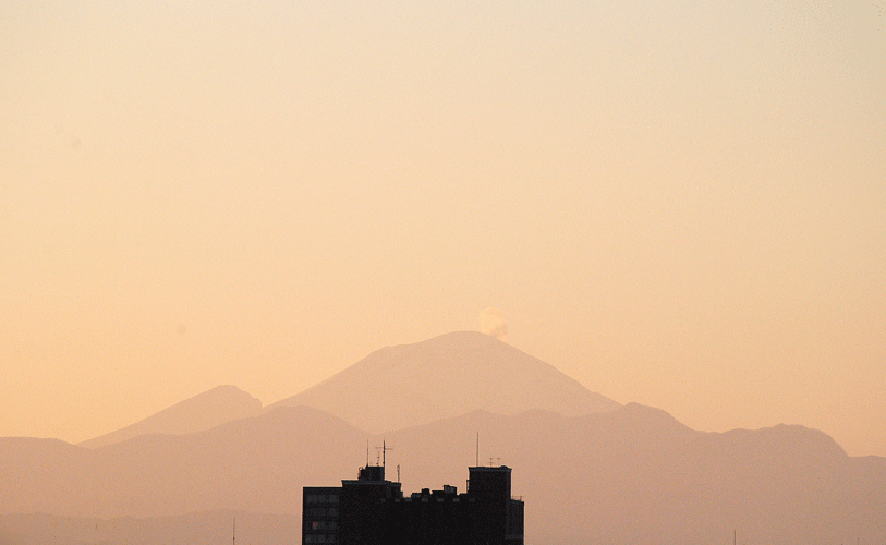 a0001354_19244492.gif