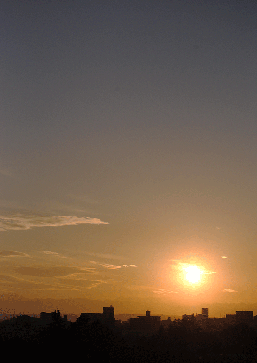 a0001354_19252866.gif