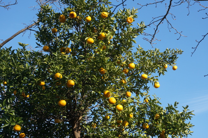 f0257756_22323147.jpg