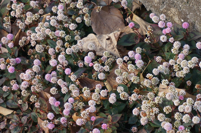 f0257756_22351672.jpg