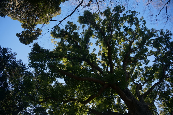 f0257756_22363342.jpg