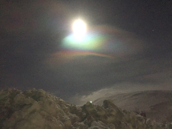 d0158258_17235742.jpg