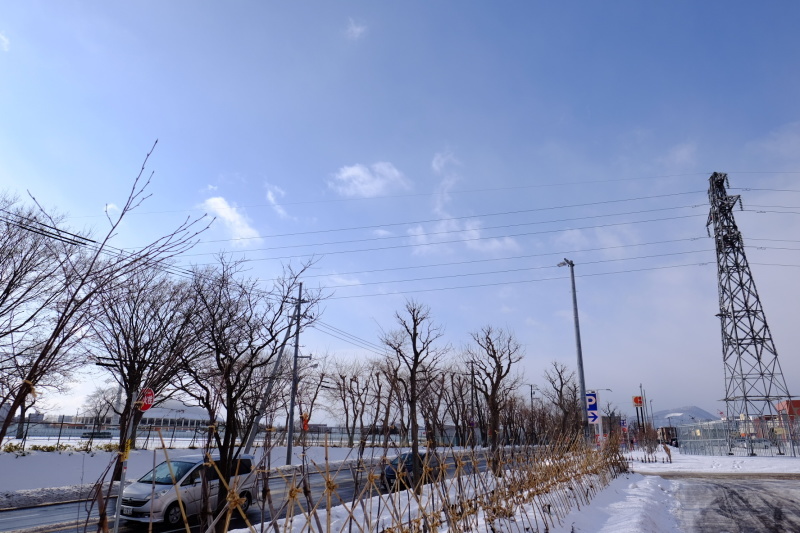 c0084666_20271022.jpg