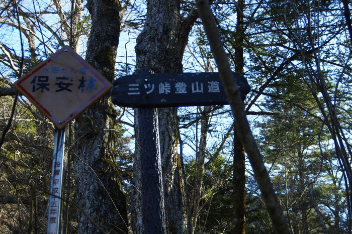 e0307372_15435802.jpg
