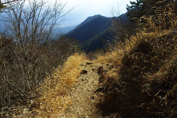 e0307372_17053100.jpg