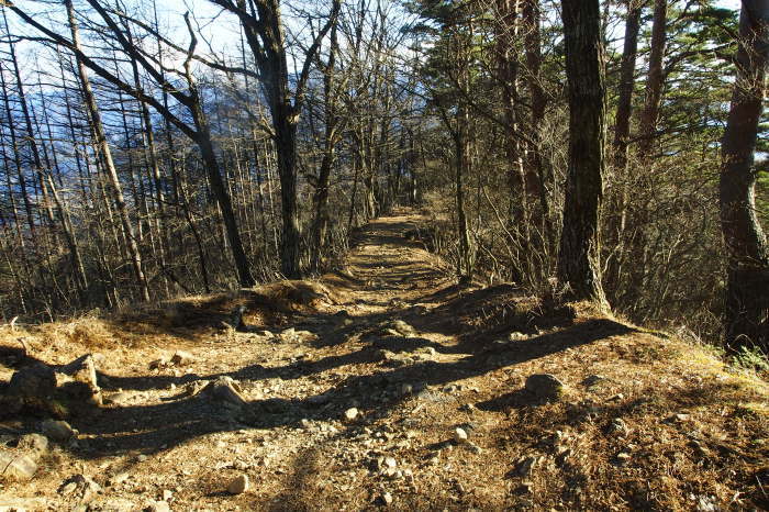 e0307372_17164520.jpg