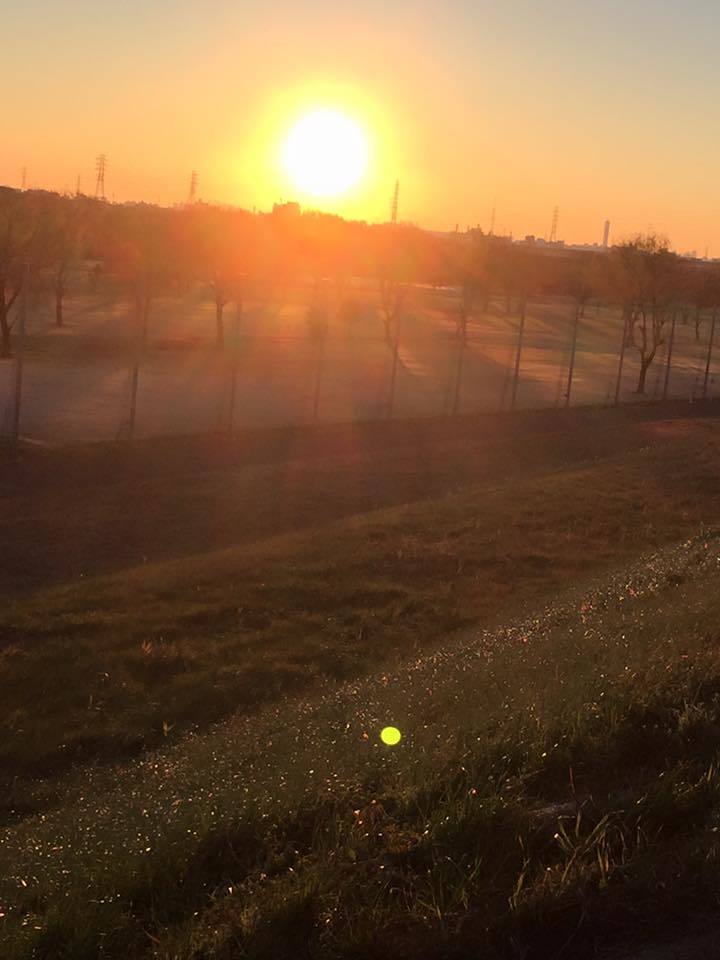 e0233191_00154823.jpg
