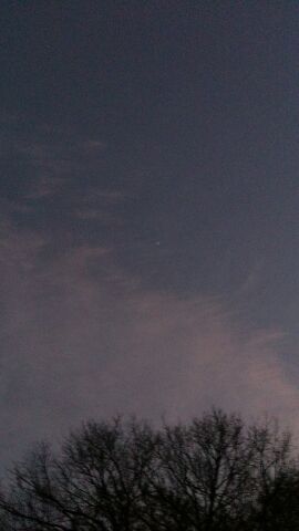b0039898_12341869.jpg