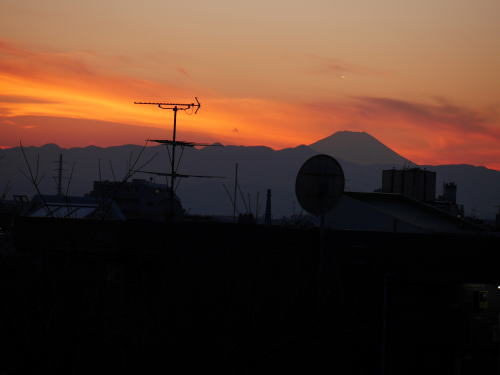 c0090198_1992439.jpg