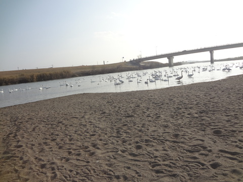 e0292102_15281958.jpg