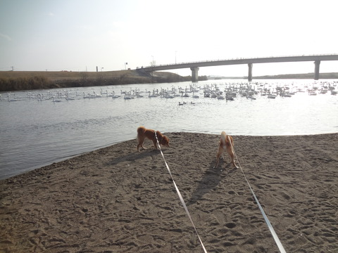 e0292102_15324761.jpg