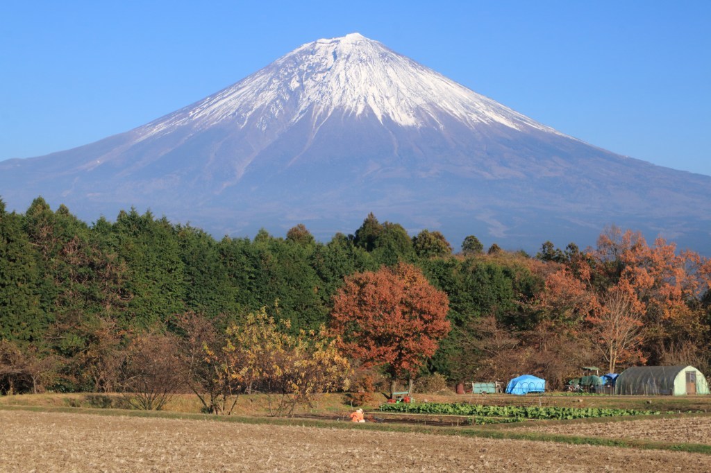 a0188405_12522275.jpg
