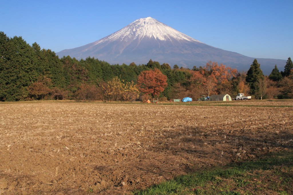 a0188405_12523680.jpg