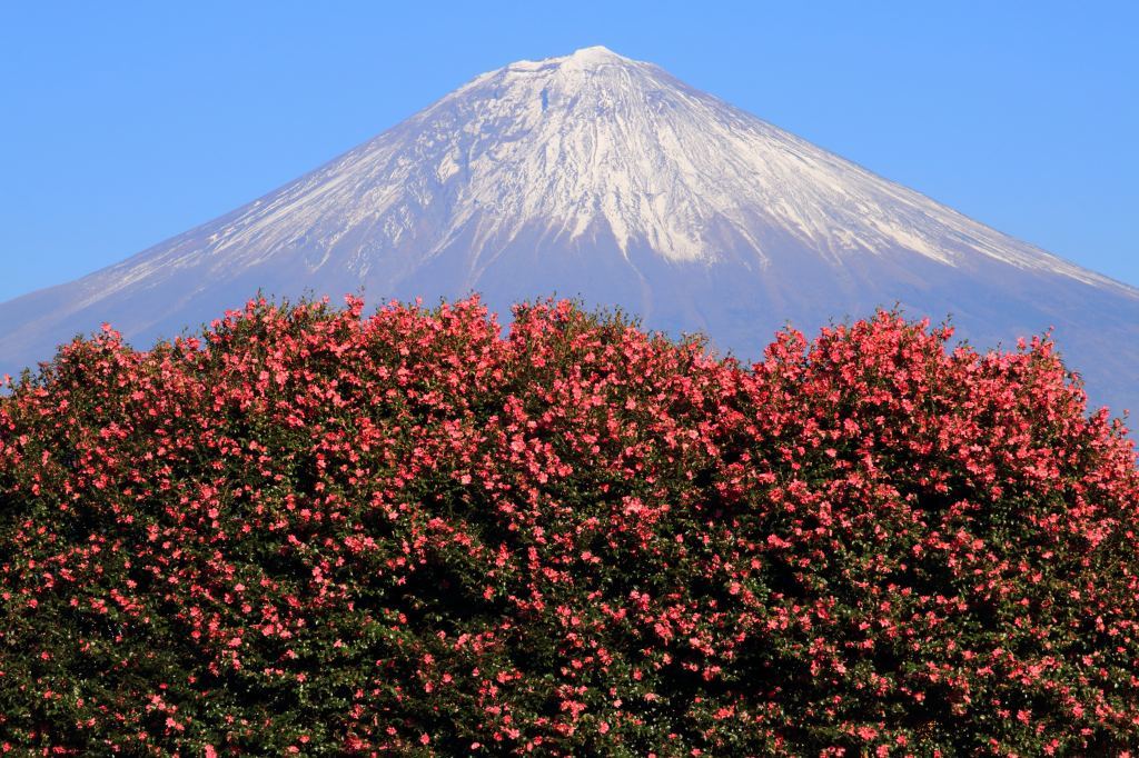 a0188405_12530639.jpg