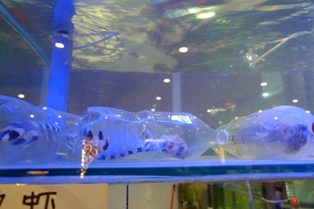 f0113108_14390436.jpg