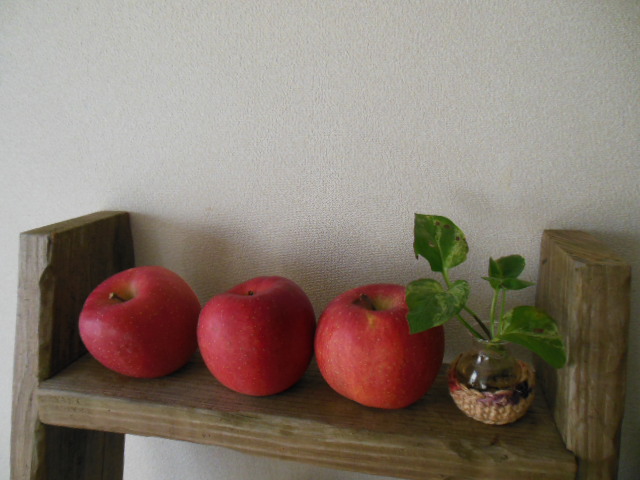f0208812_1452693.jpg