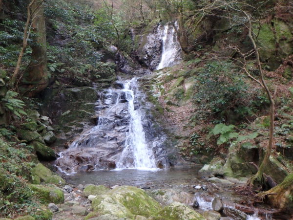 d0198313_10583039.jpg