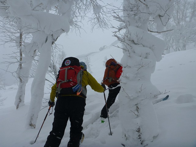 c0048117_11325277.jpg