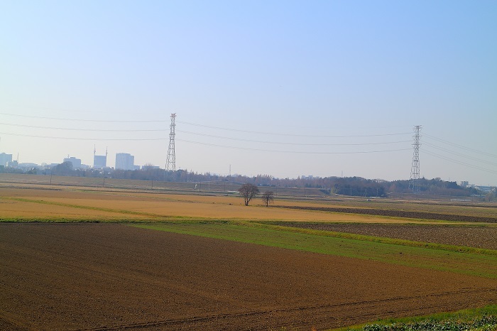 e0341417_20054735.jpg