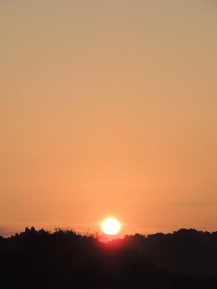 f0150620_19373162.jpg