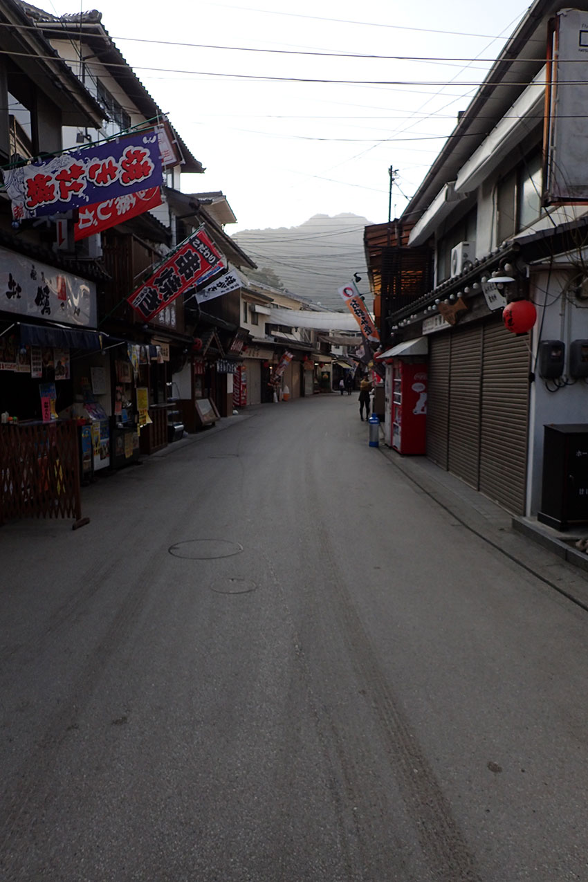 c0064025_1654224.jpg