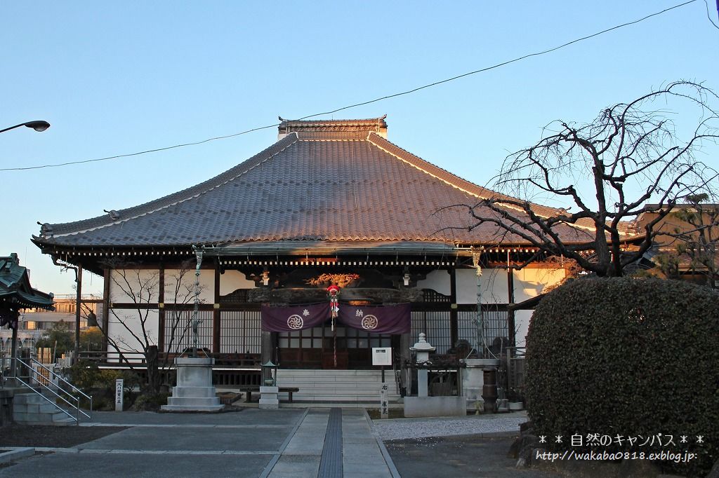 e0052135_1753535.jpg