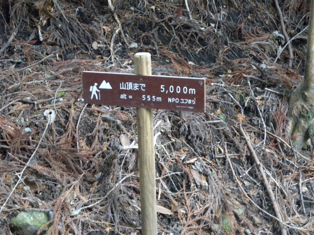 e0272335_20385193.jpg